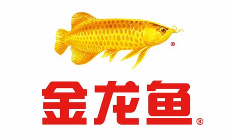 合作伙伴 合作伙伴